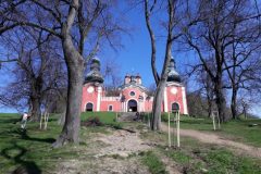 Stromy okolo Dolného kostola